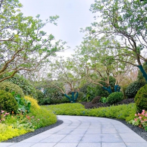 別墅庭院設(shè)計(jì)的后期如何養(yǎng)護(hù)毁于一旦？